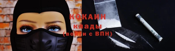 стафф Армянск