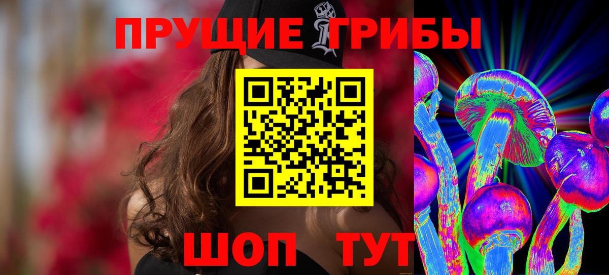 Псилоцибиновые грибы прущие грибы Балтийск