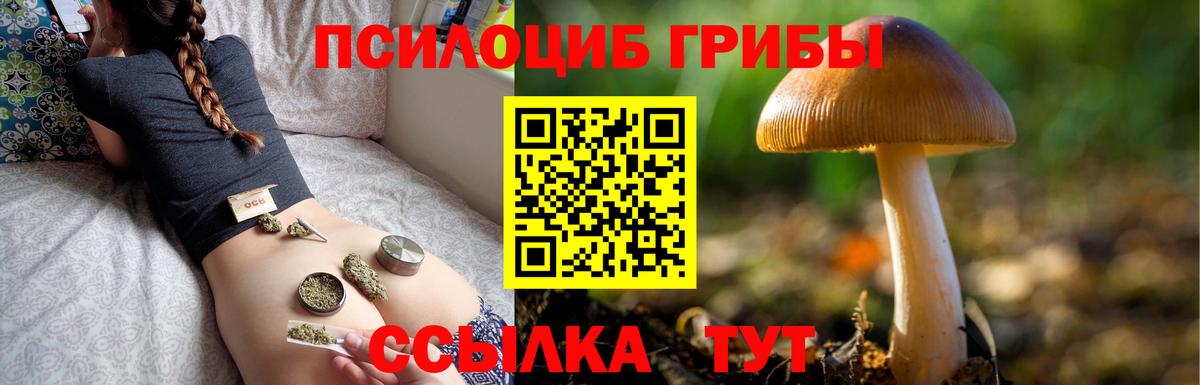 Псилоцибиновые грибы мухоморы  Вход с VPN  купить наркотики цена  Балтийск 