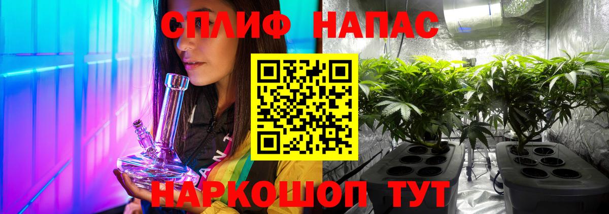 Каннабис гибрид Балтийск